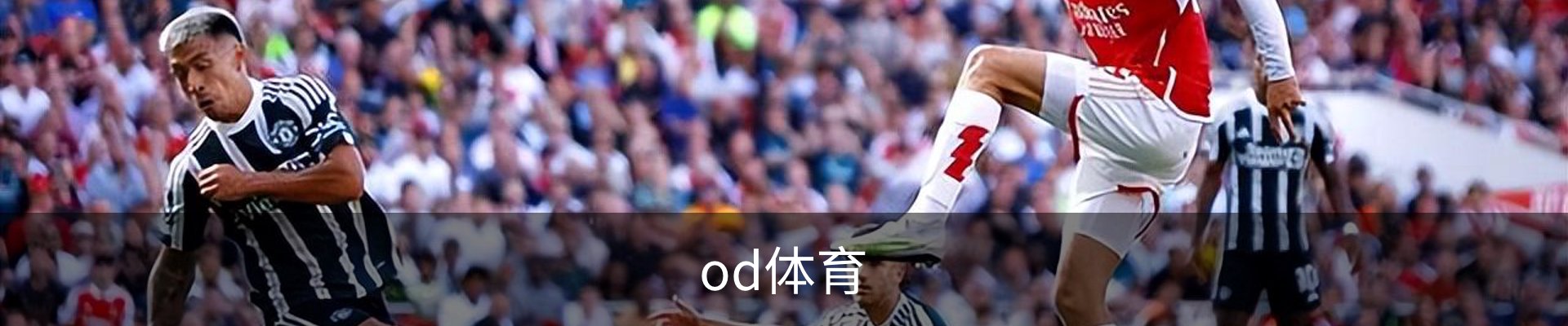 od体育